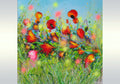 Spring Poppies