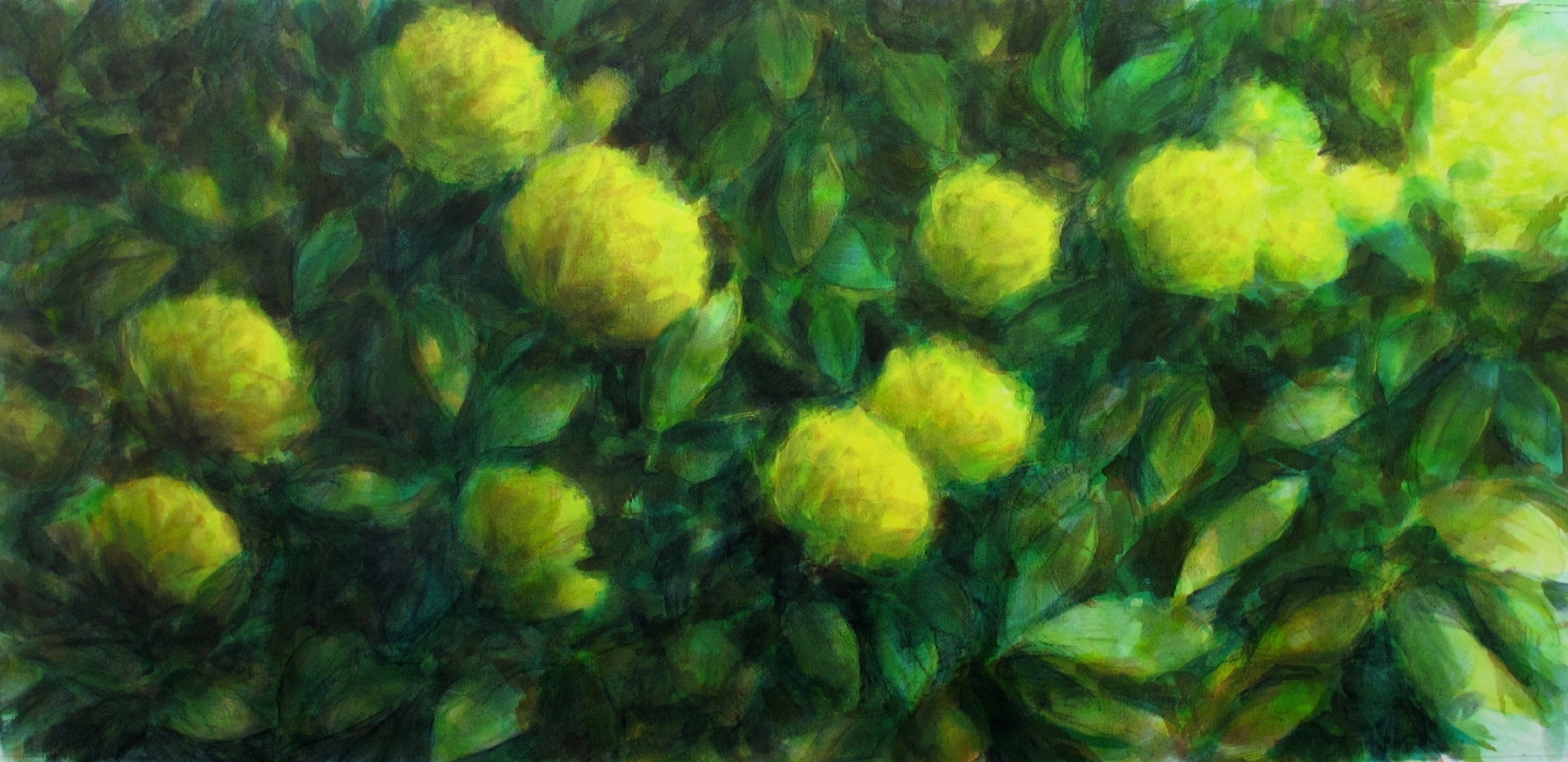 Yellow Peonies