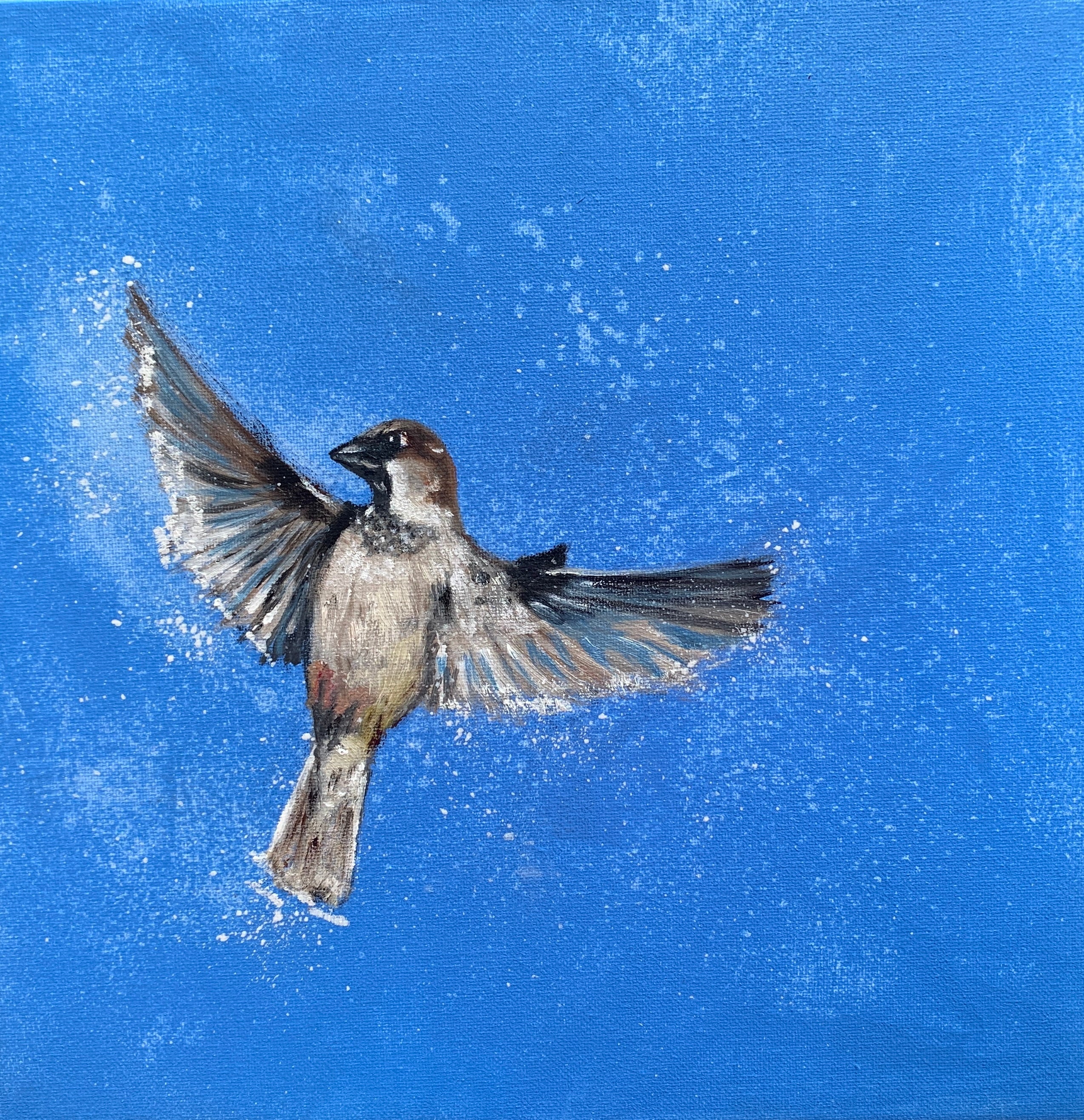 Sparrow In Flight