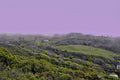 Aberystwyth countryside in spring mist