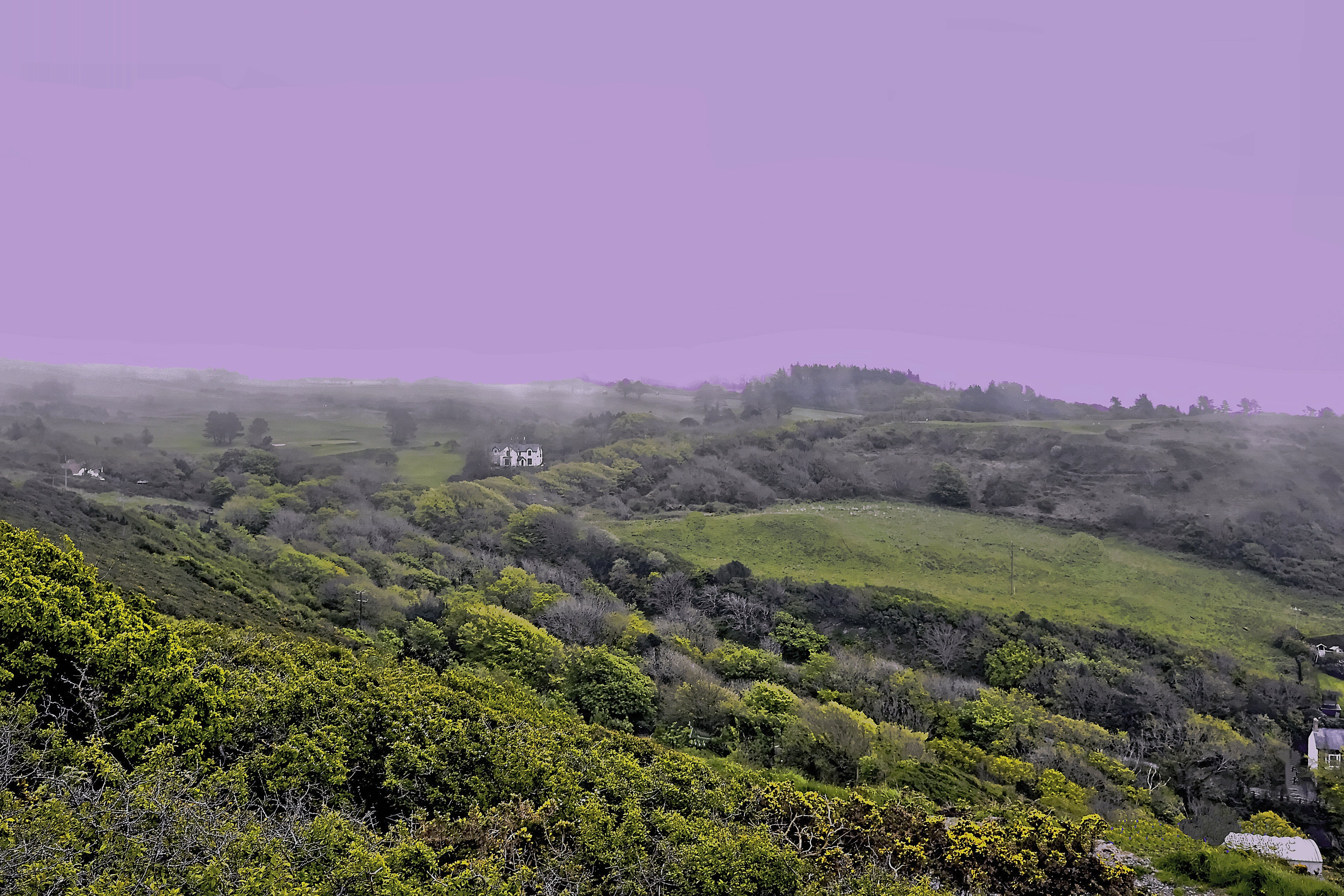 Aberystwyth countryside in spring mist