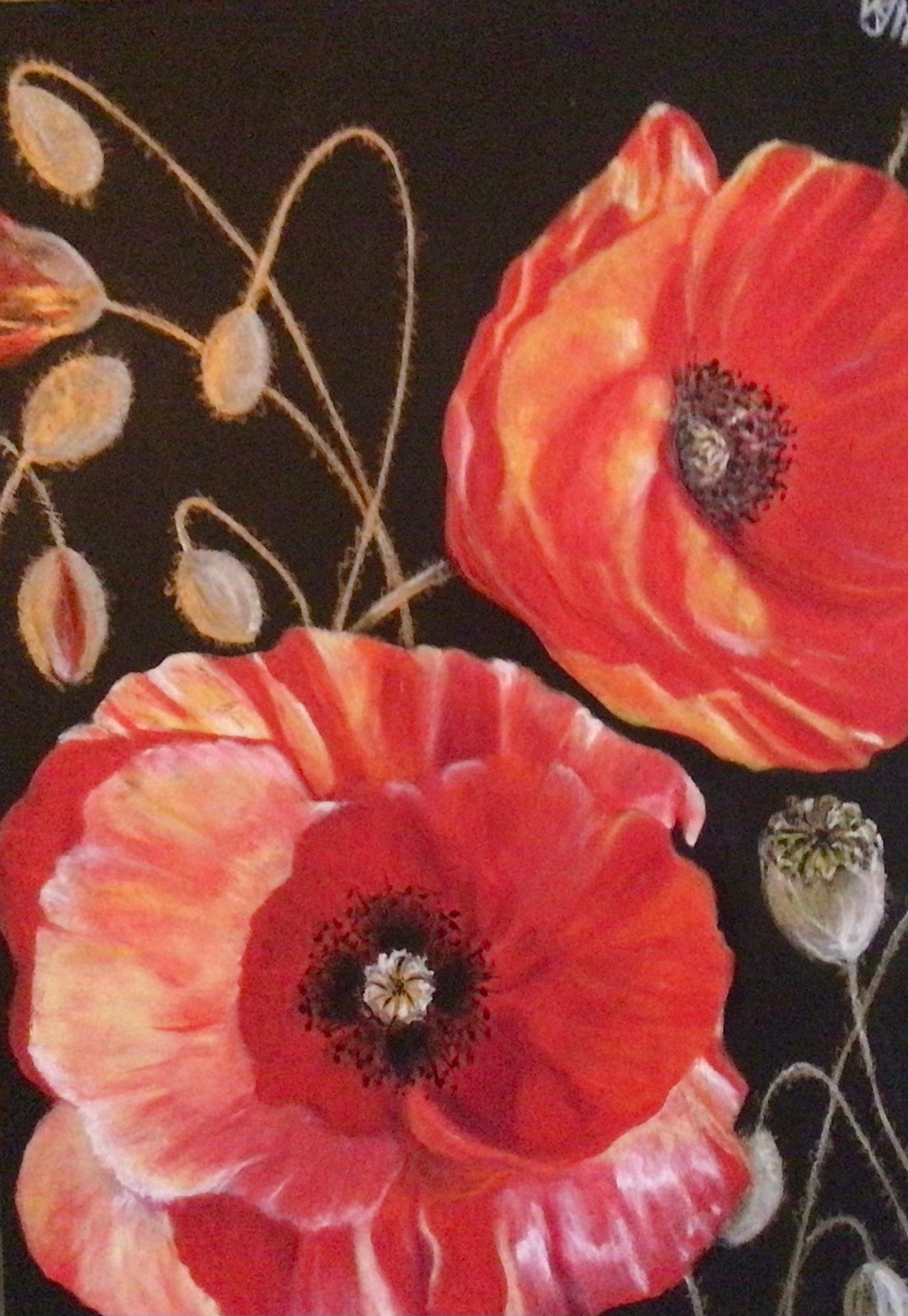 Fiery Poppies 1