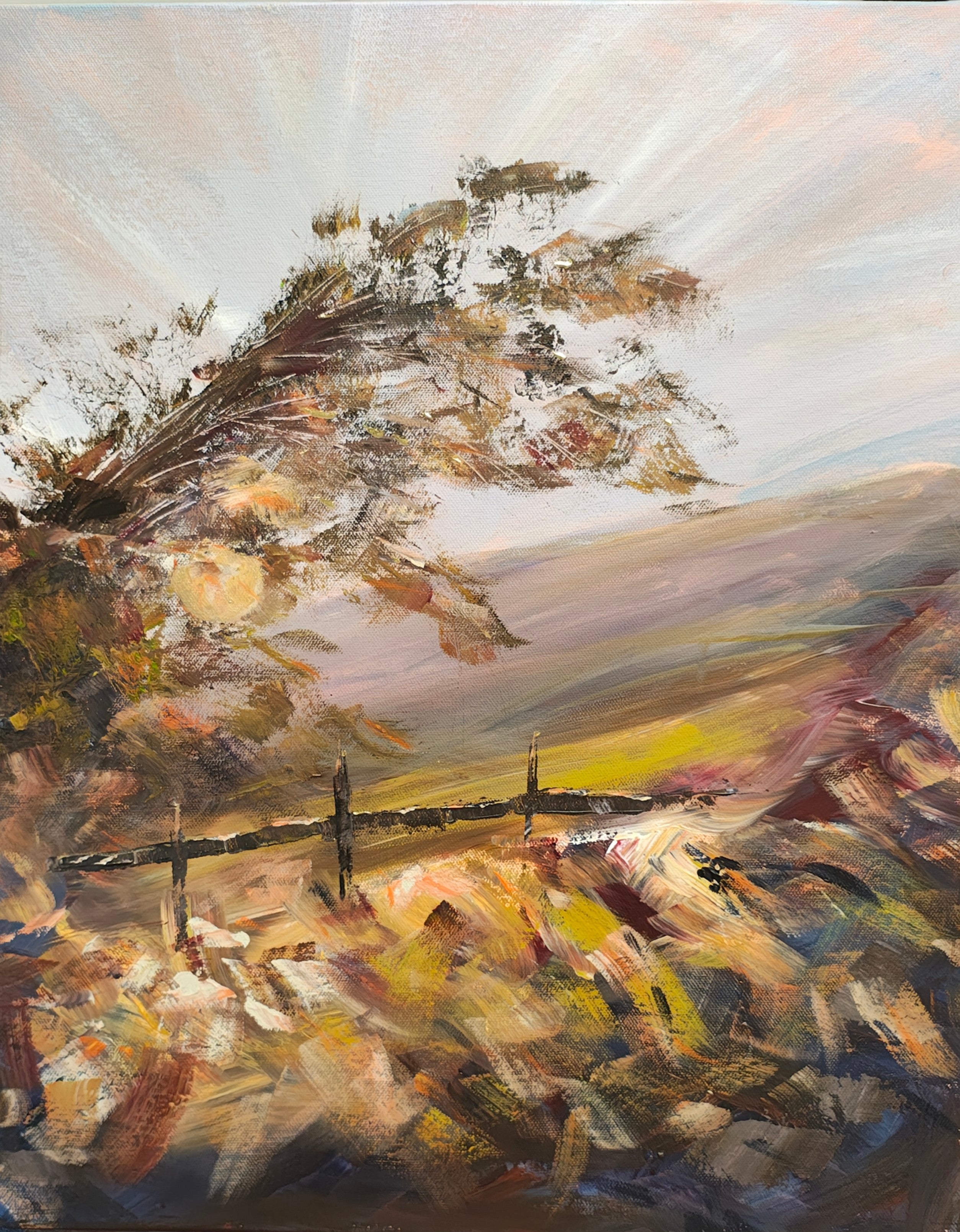 Windswept Moor