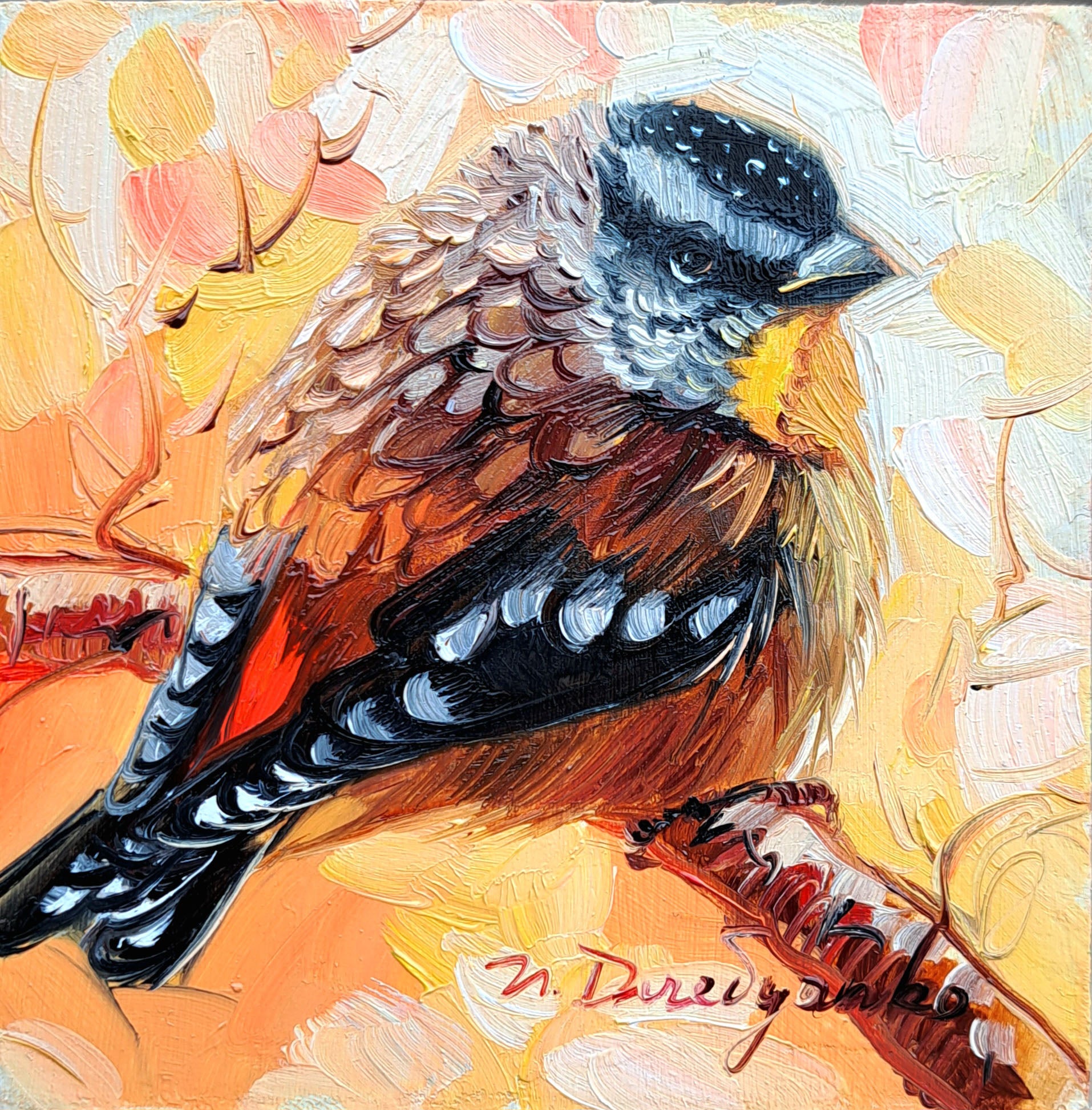 Spotted Australian bird