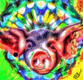 Sad Pig