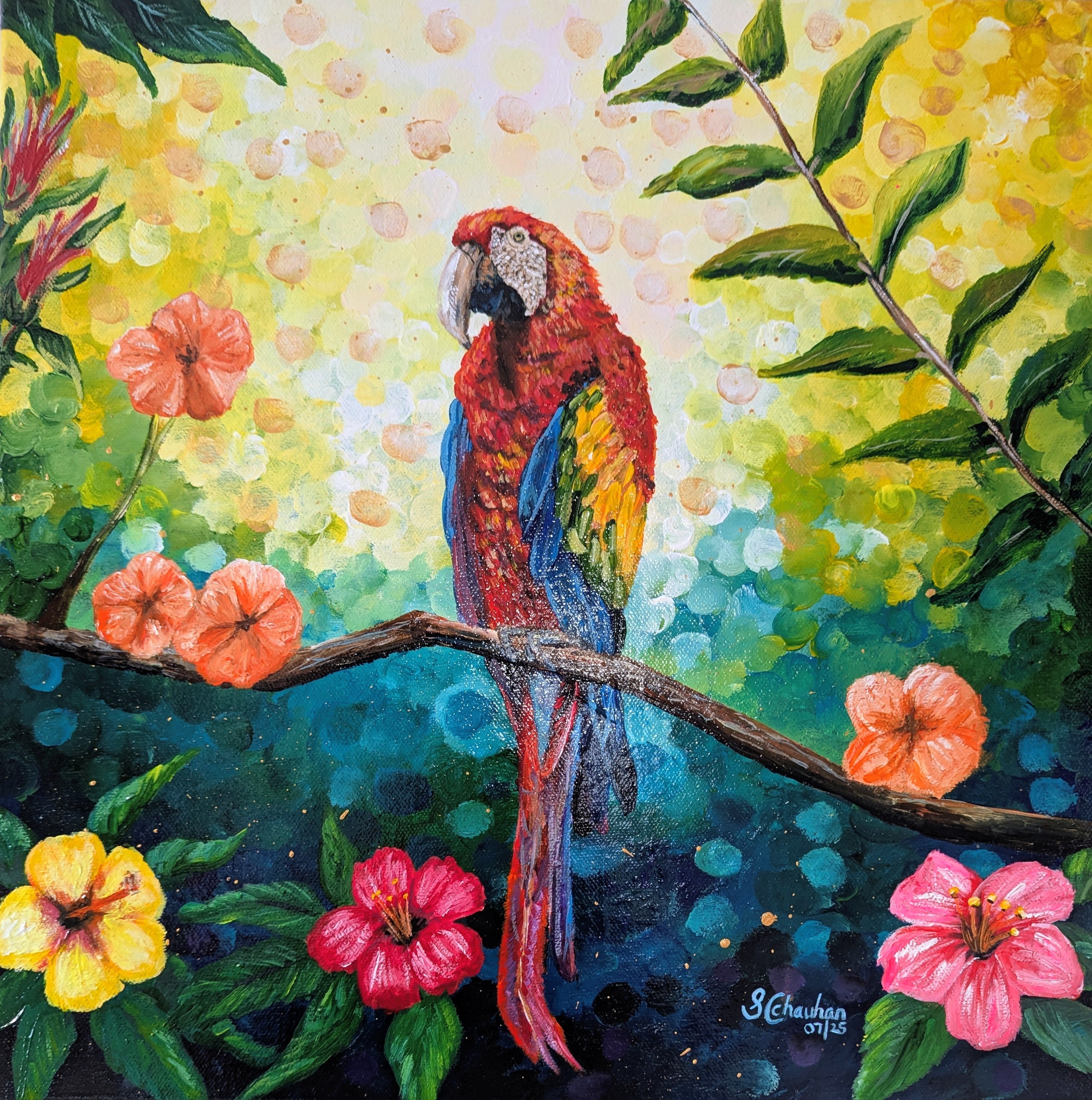 Colourful Parrot