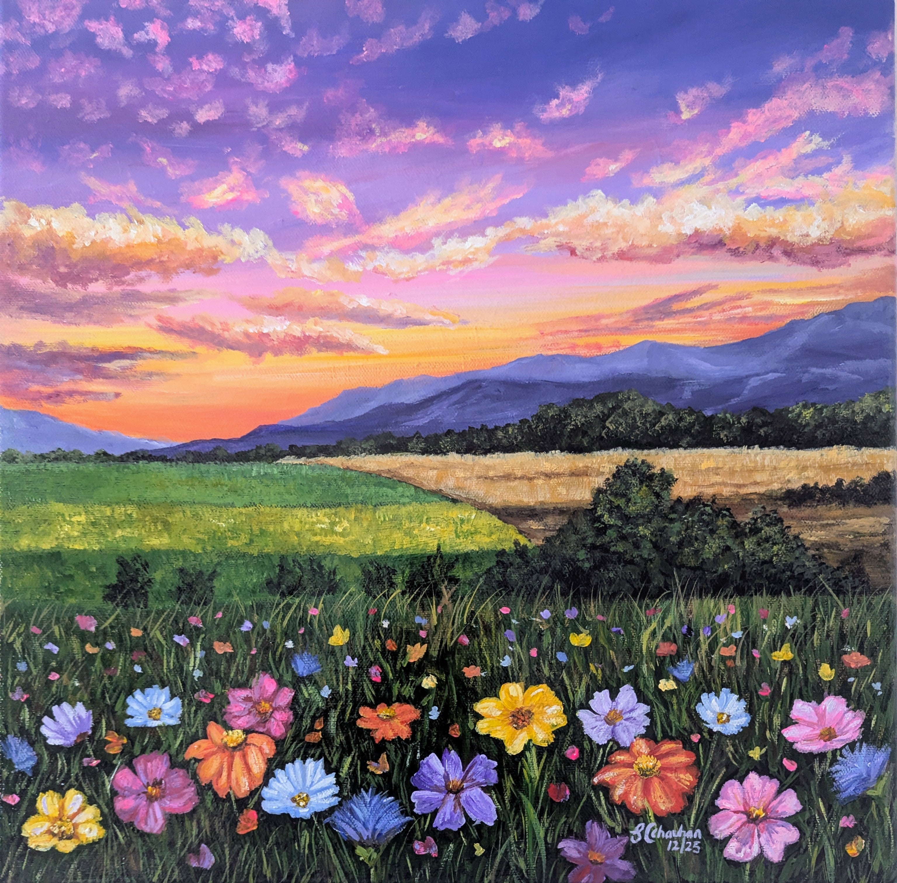 Dazzling Flowers