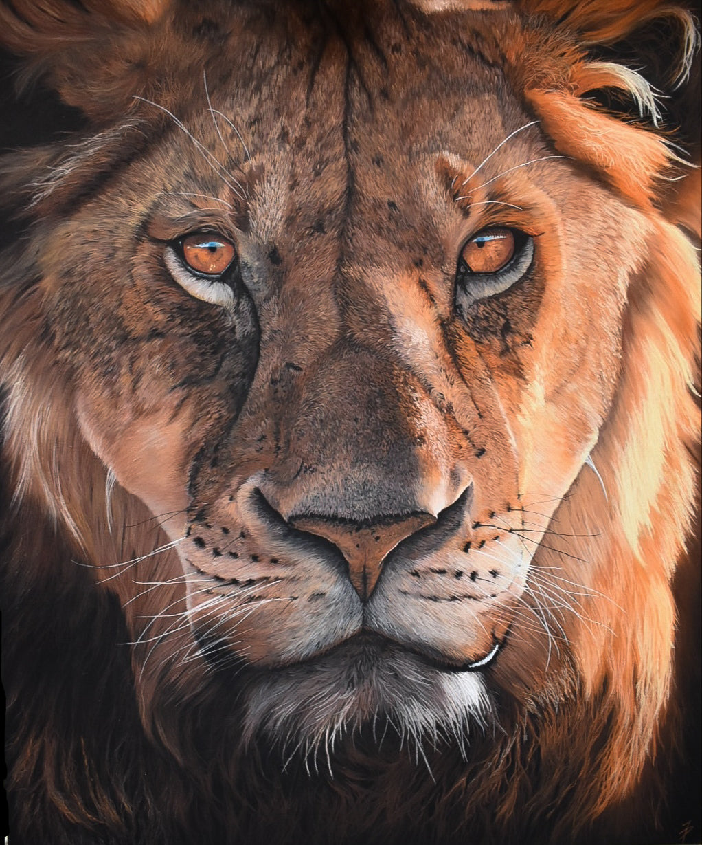 Regal reflections
