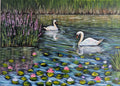 Serene Swans