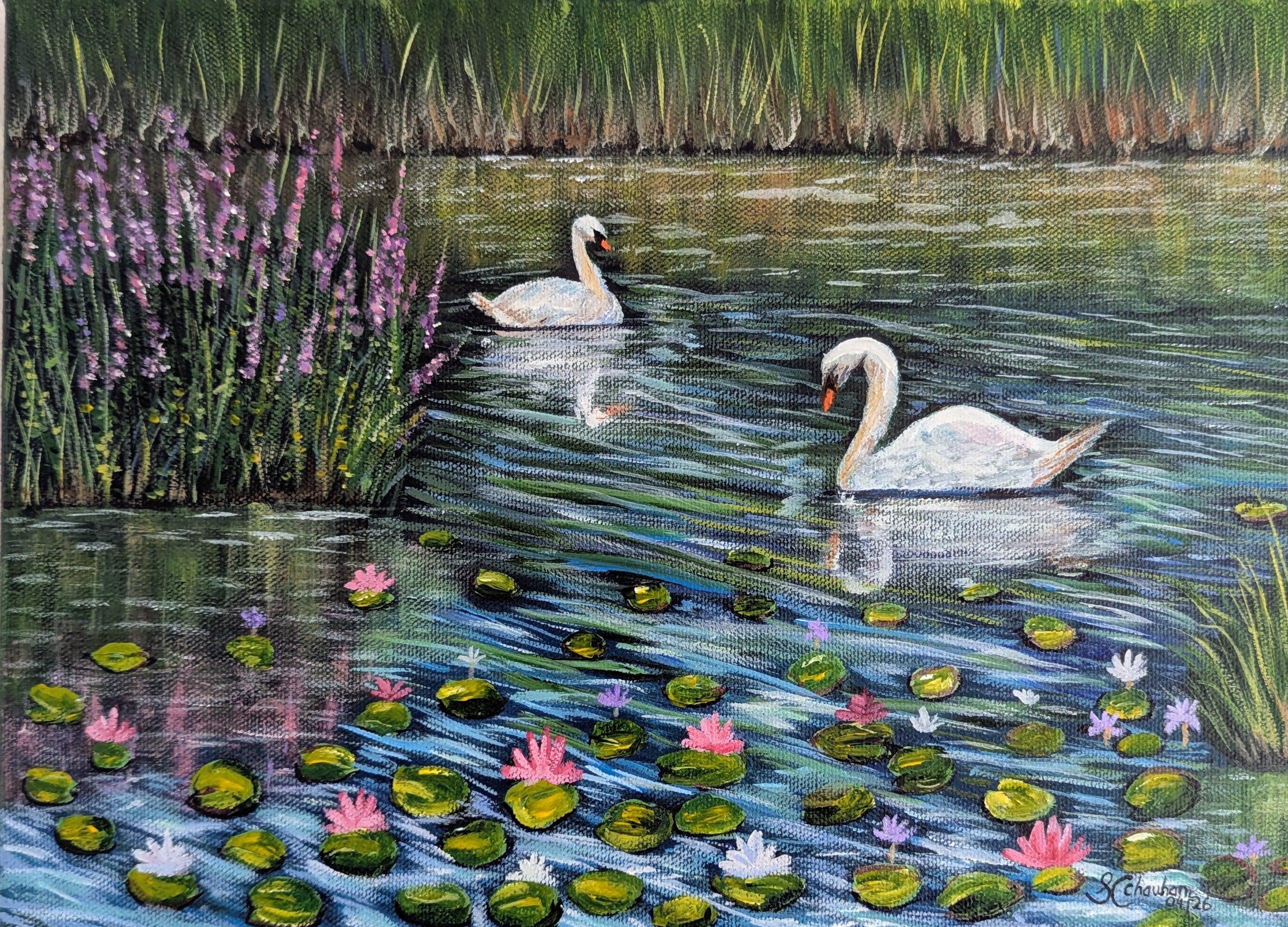 Serene Swans