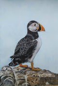 PUFFIN