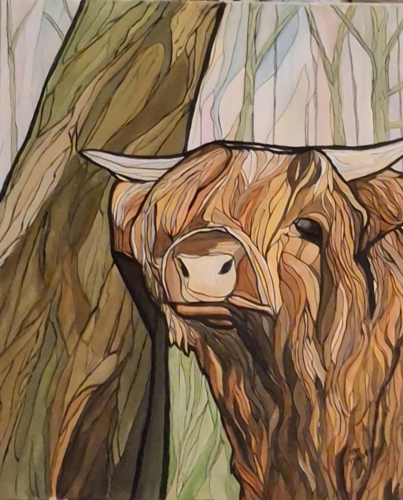 Conor the Highlander coo