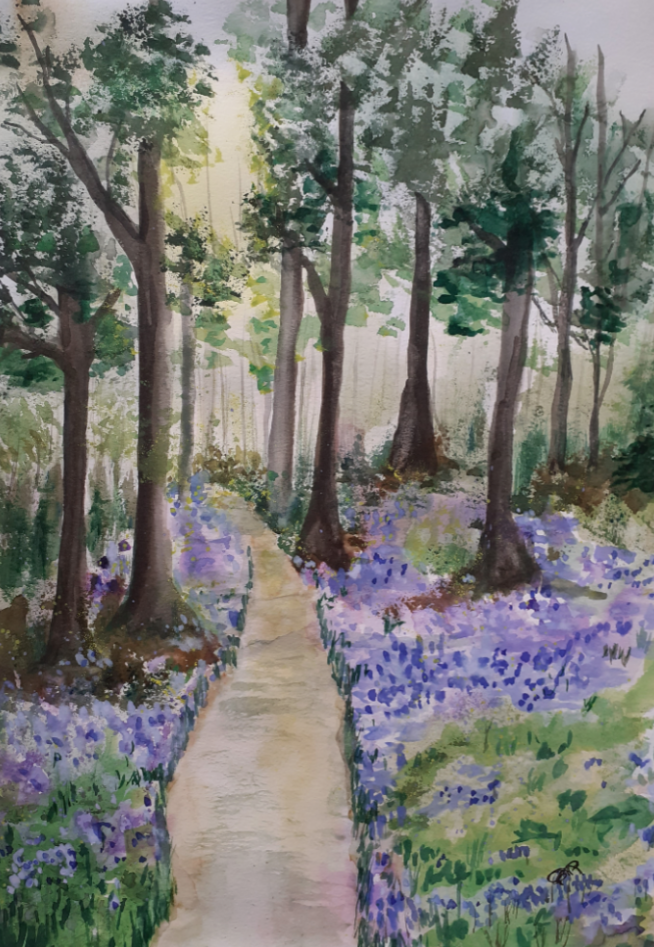 Bluebell Woods