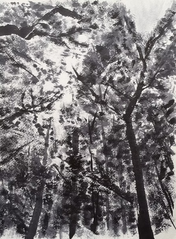 Gentle Forest