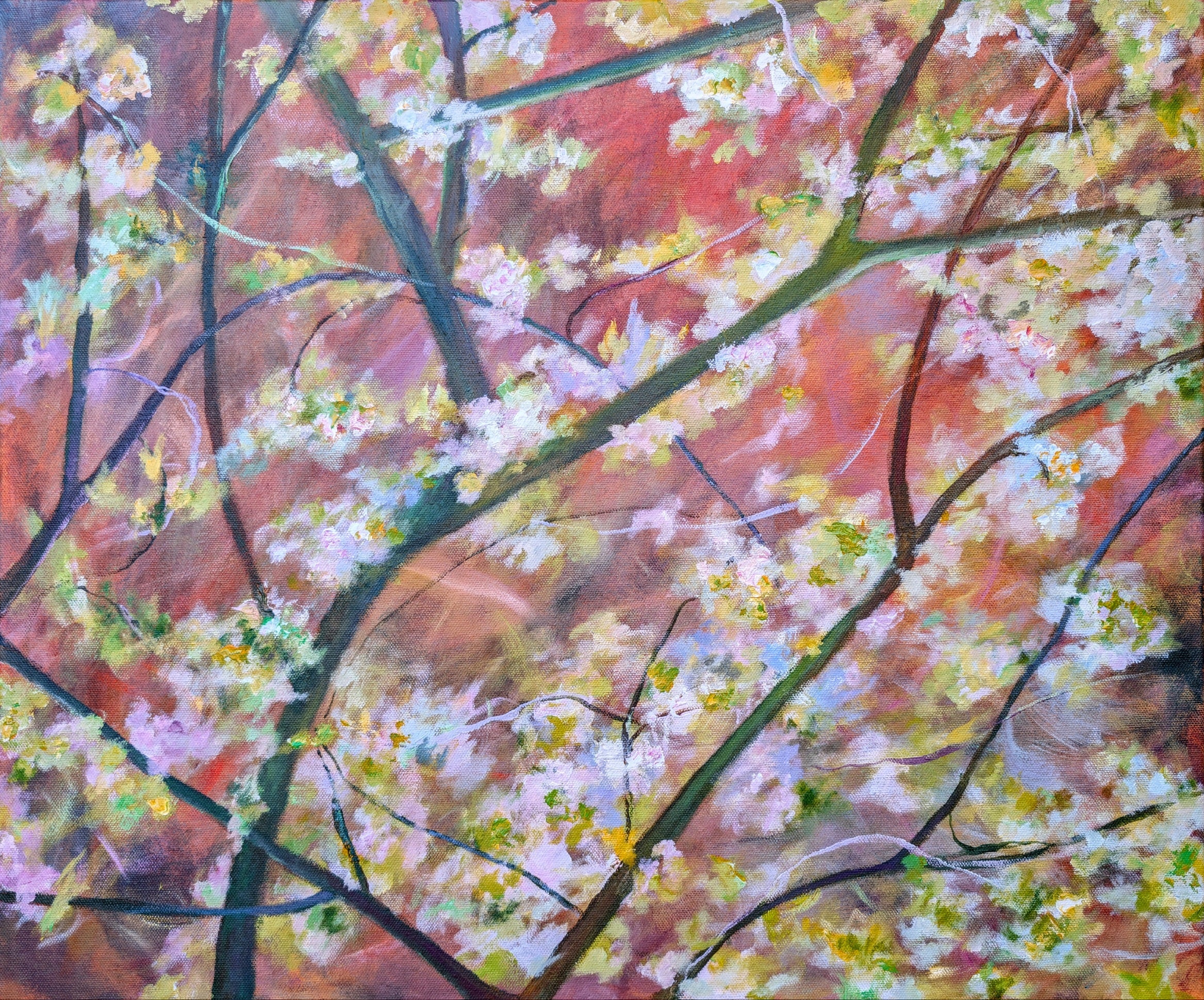 Blossom on a burnt sienna background