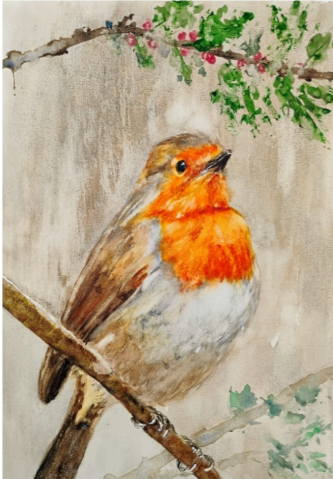 Robin on a holly branch