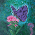 Beautiful butterfly