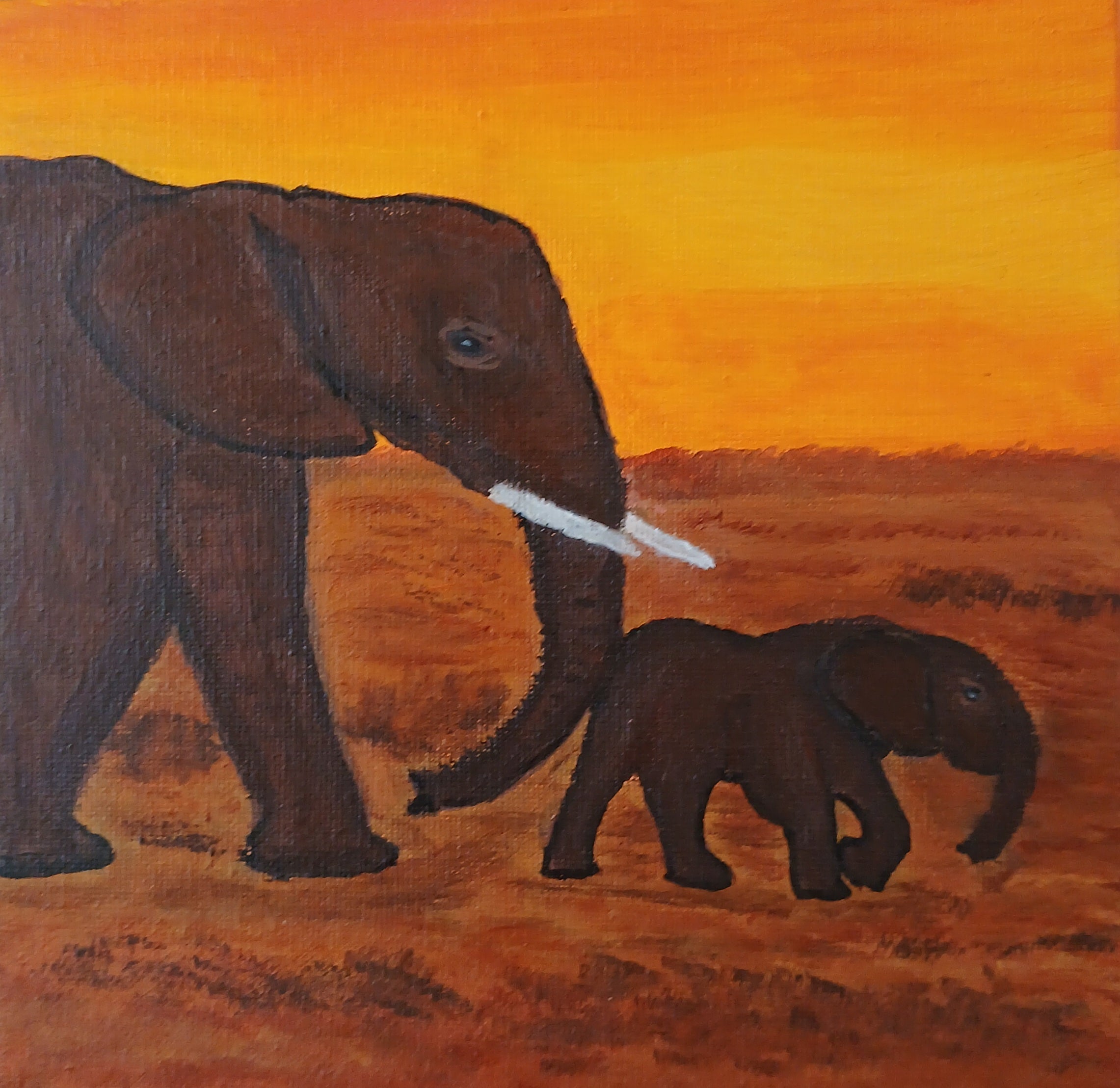 Safari Elephants