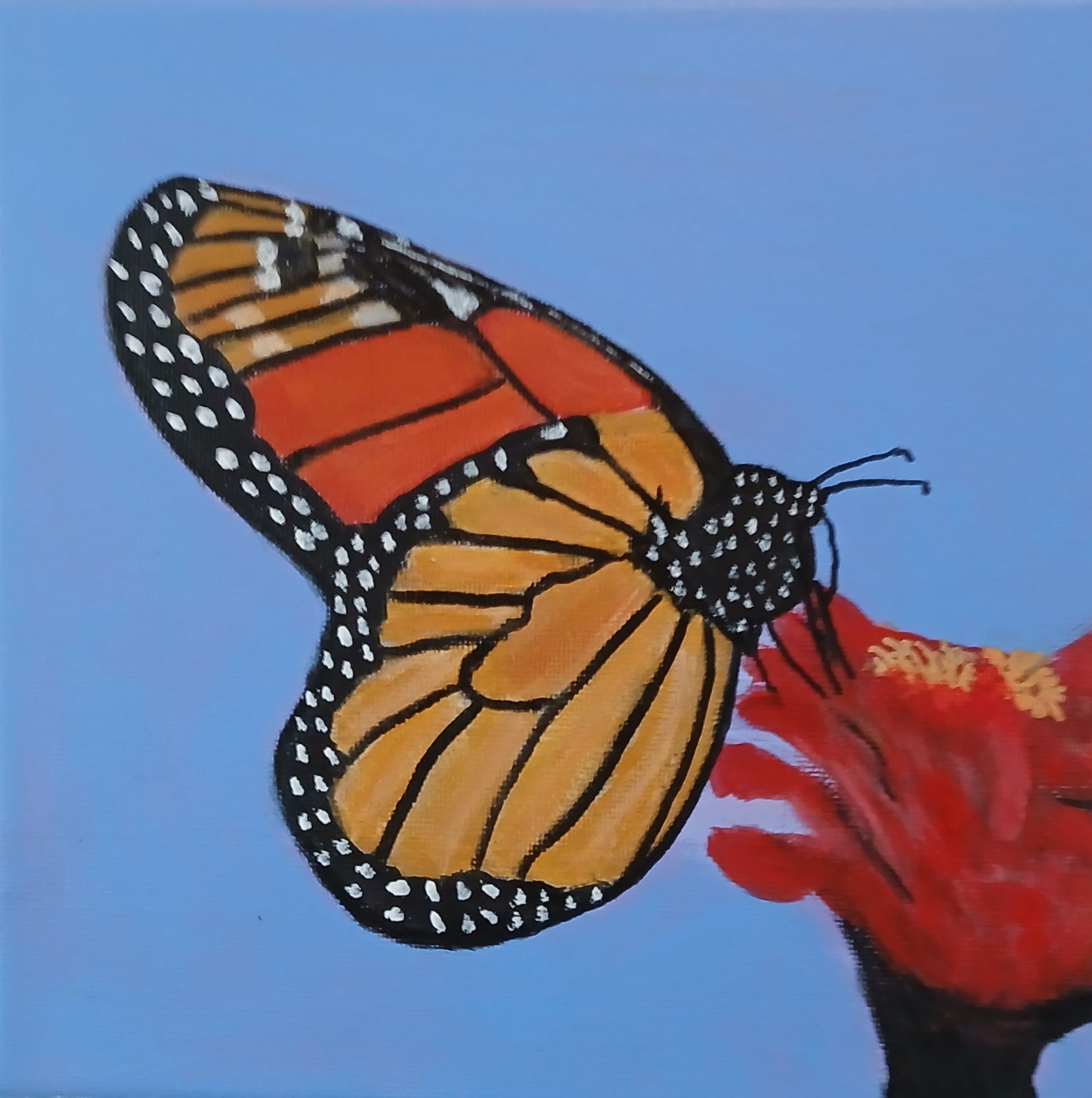 Monarch butterfly