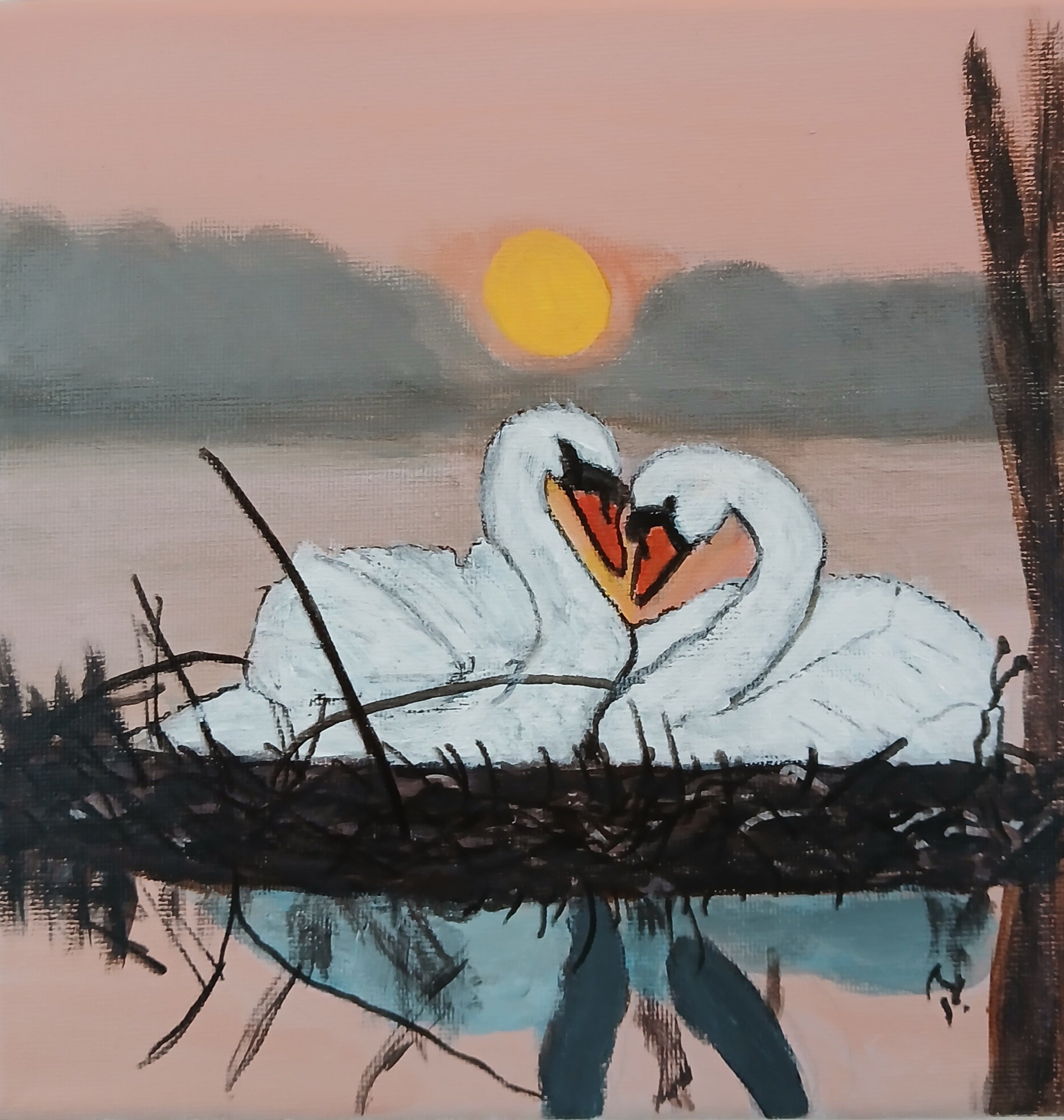 Nesting swans