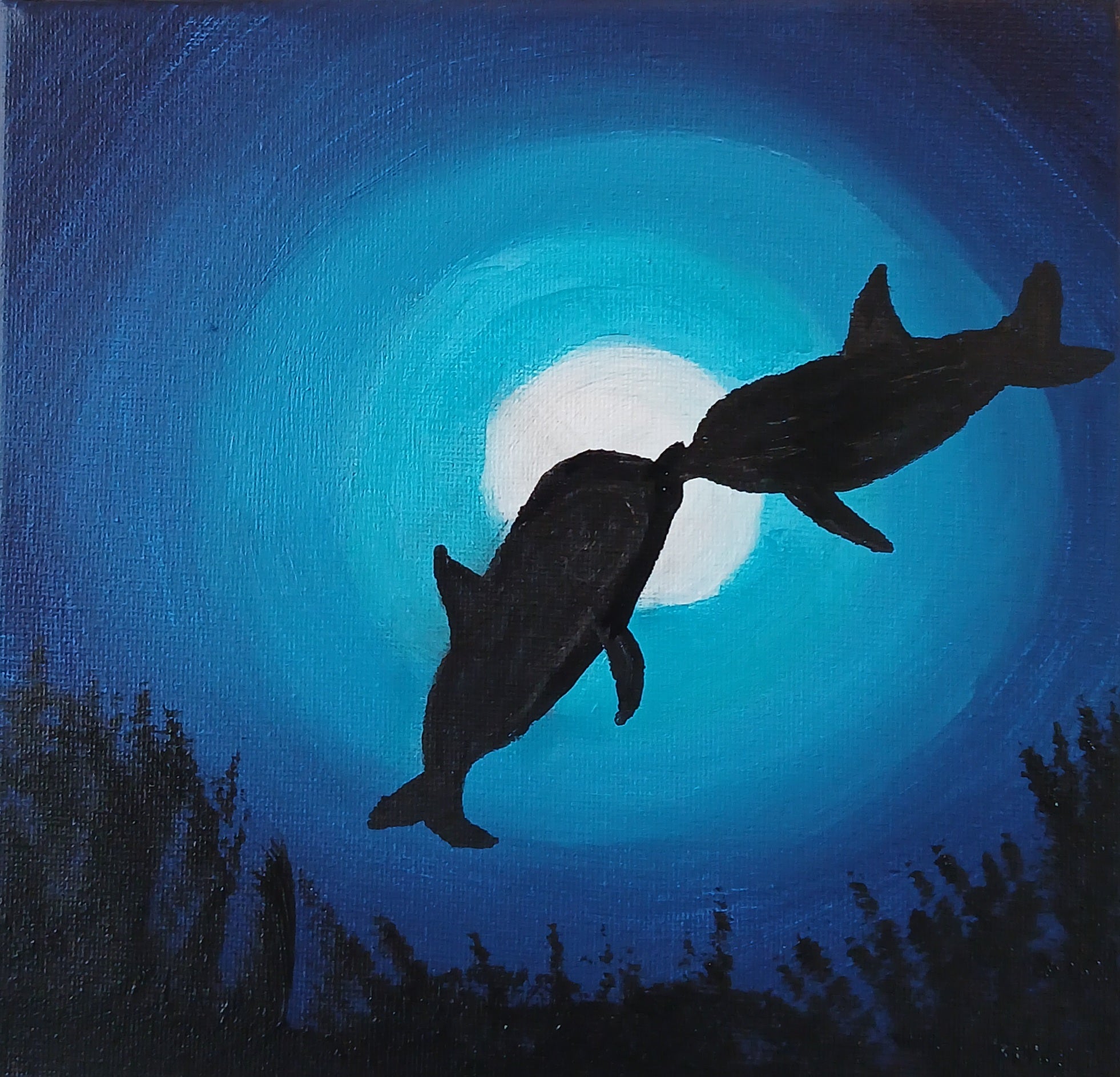 Kissing Dolphins