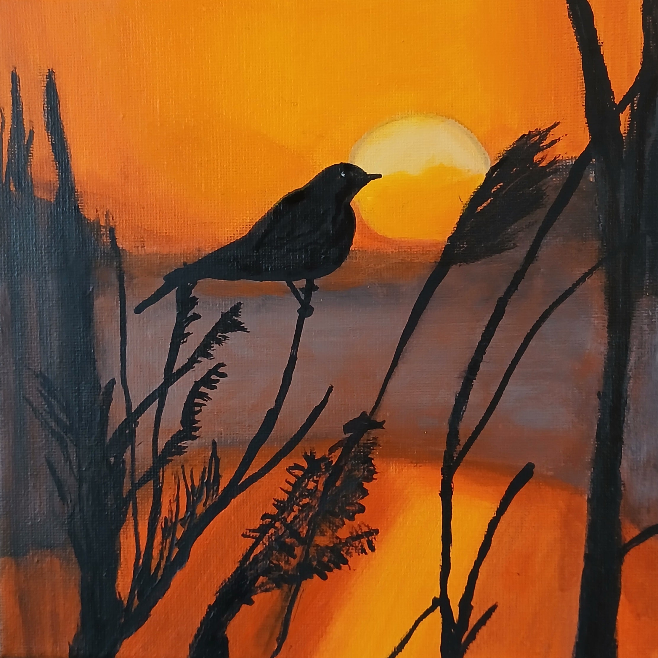 Sunset Bird