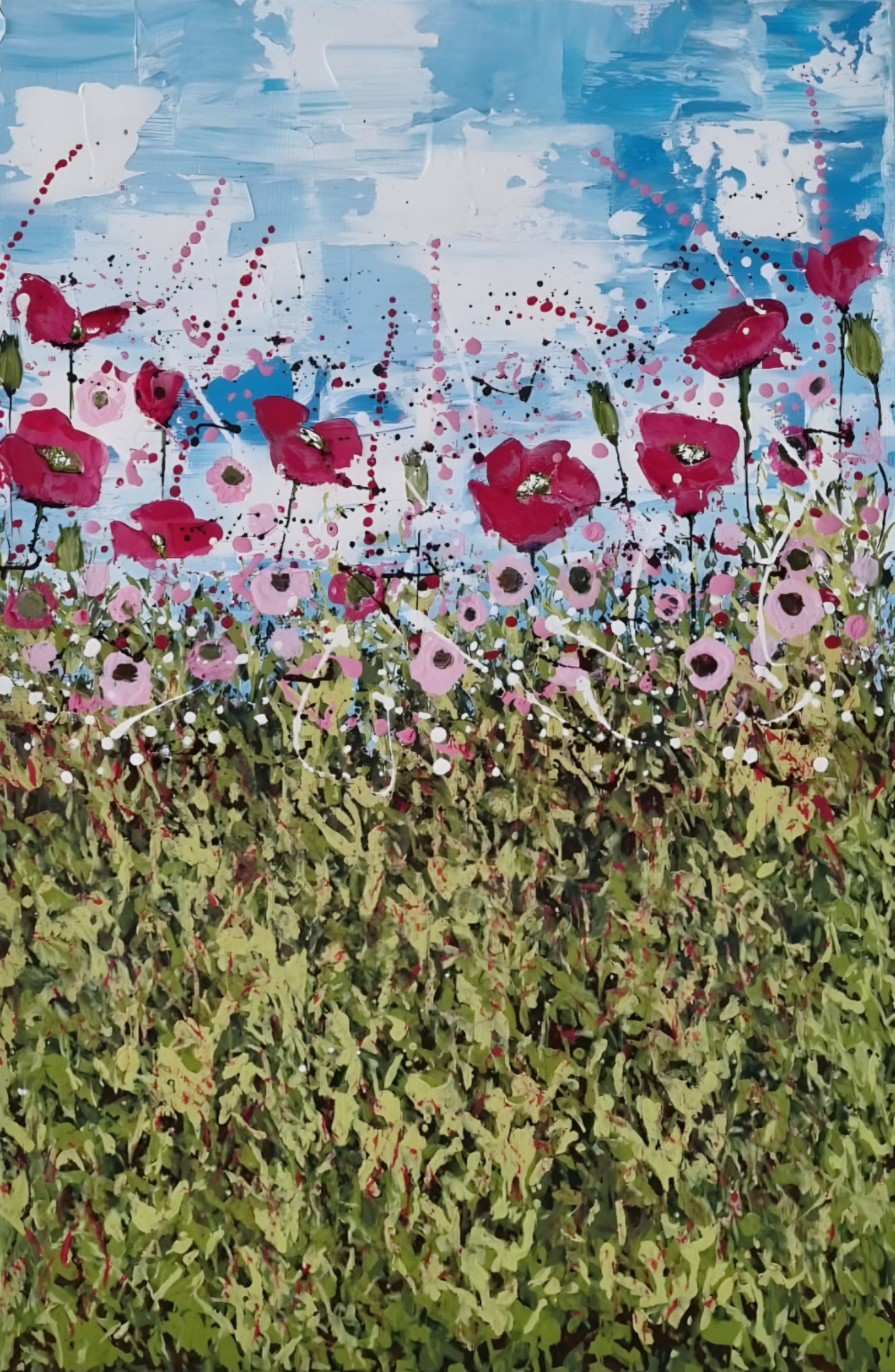 Dorset’s Poppy Field’s