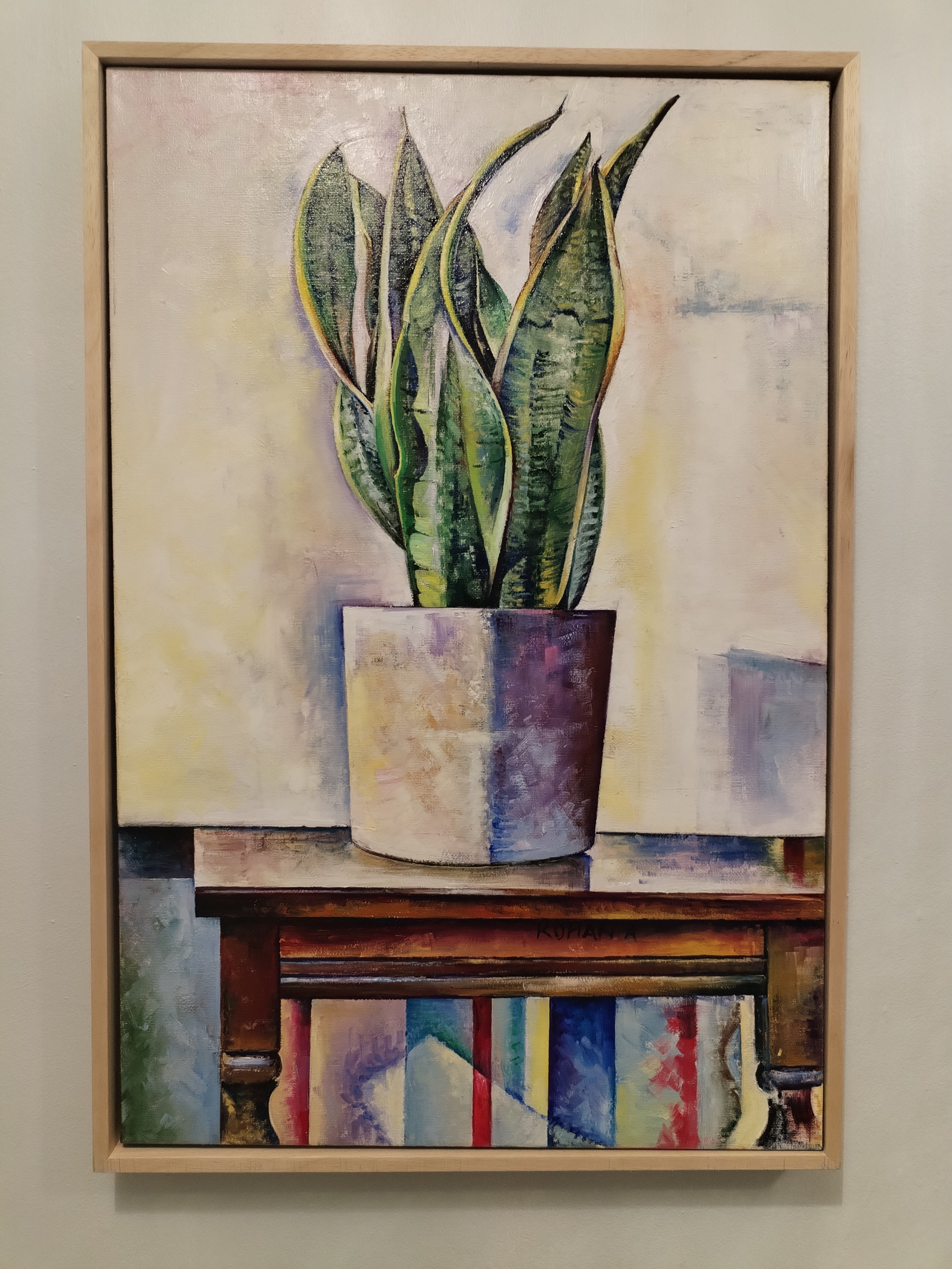 Sansevieria laurentii