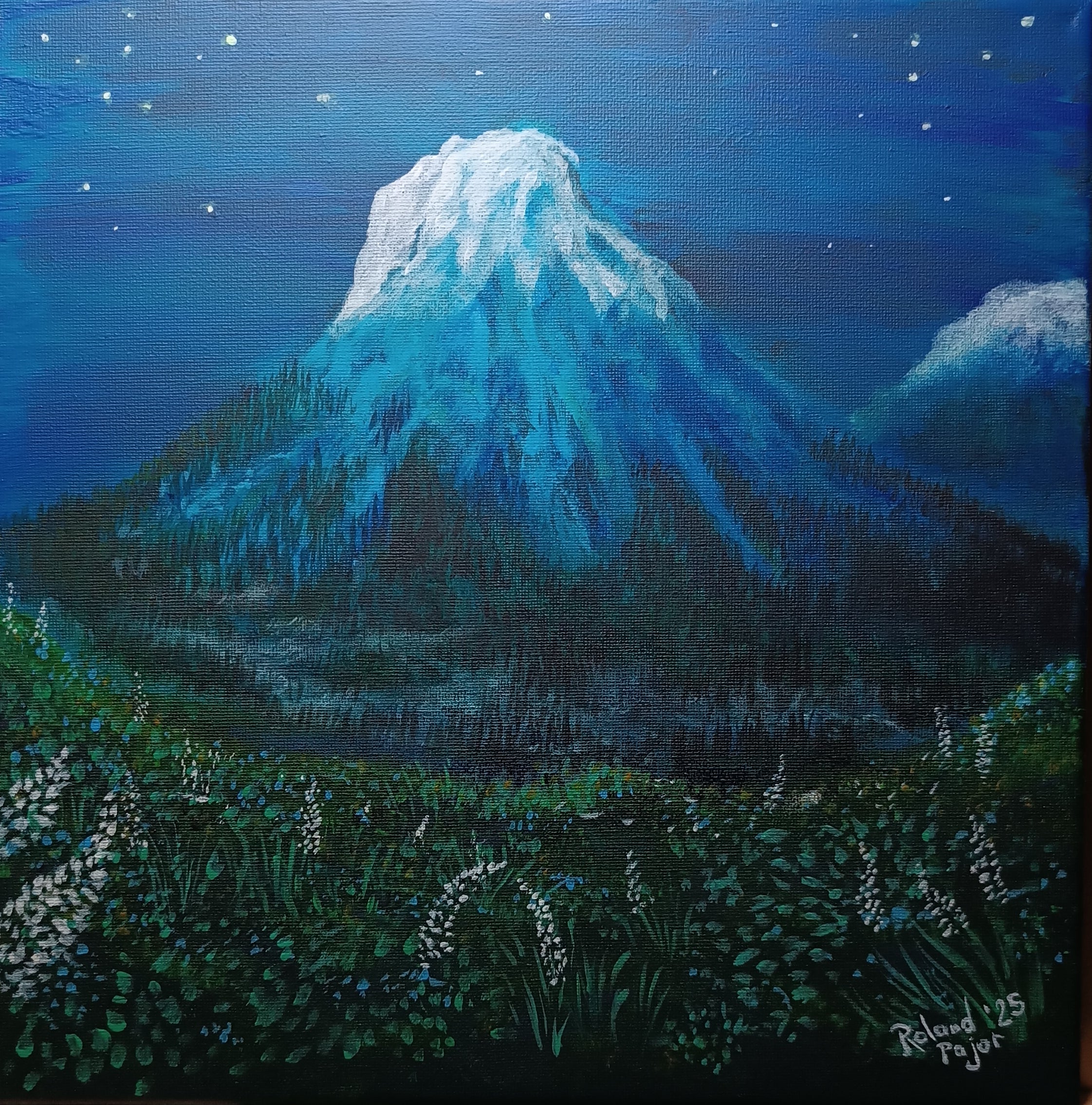 The Lonely mountain