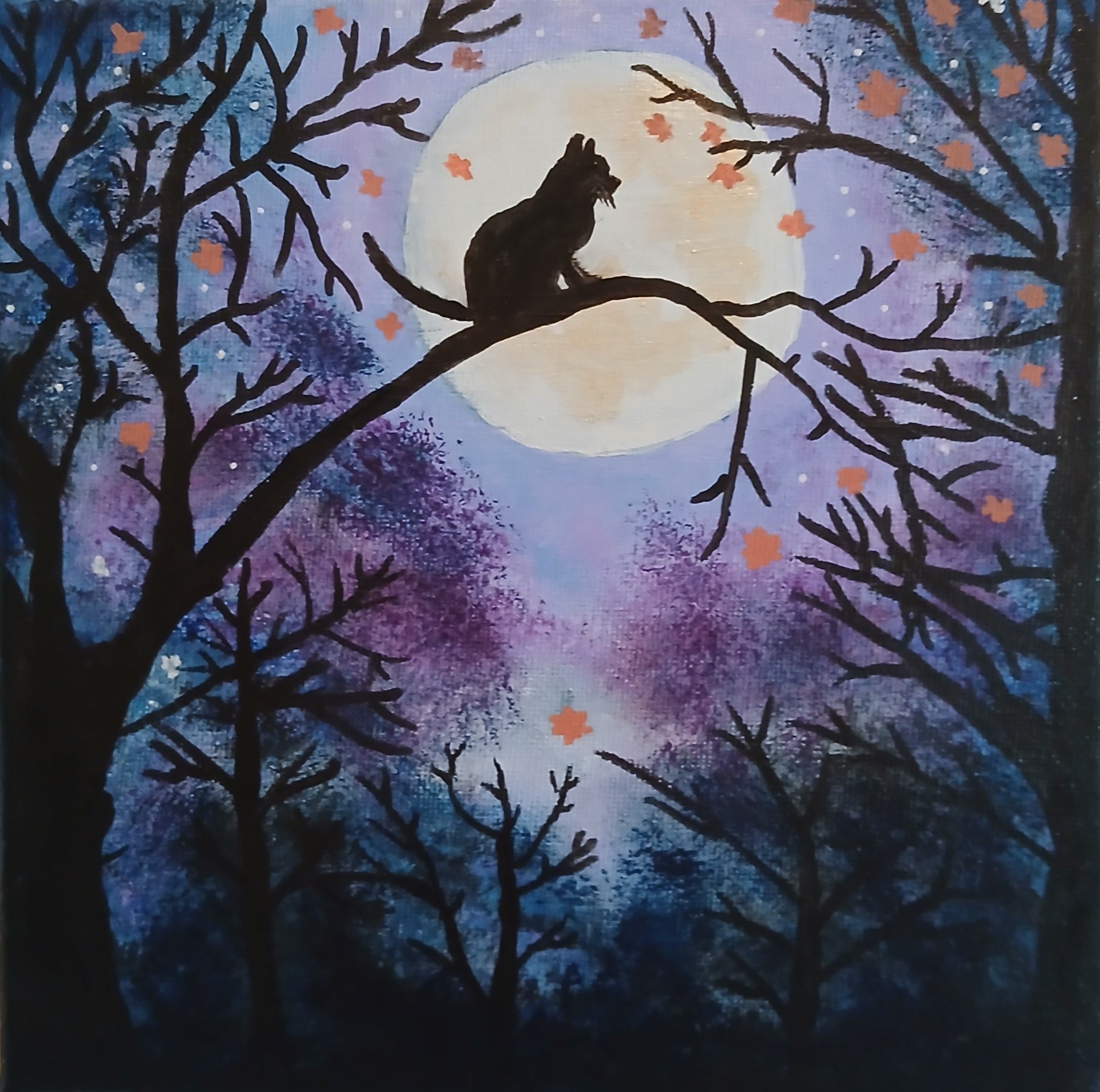 Moonlight cat