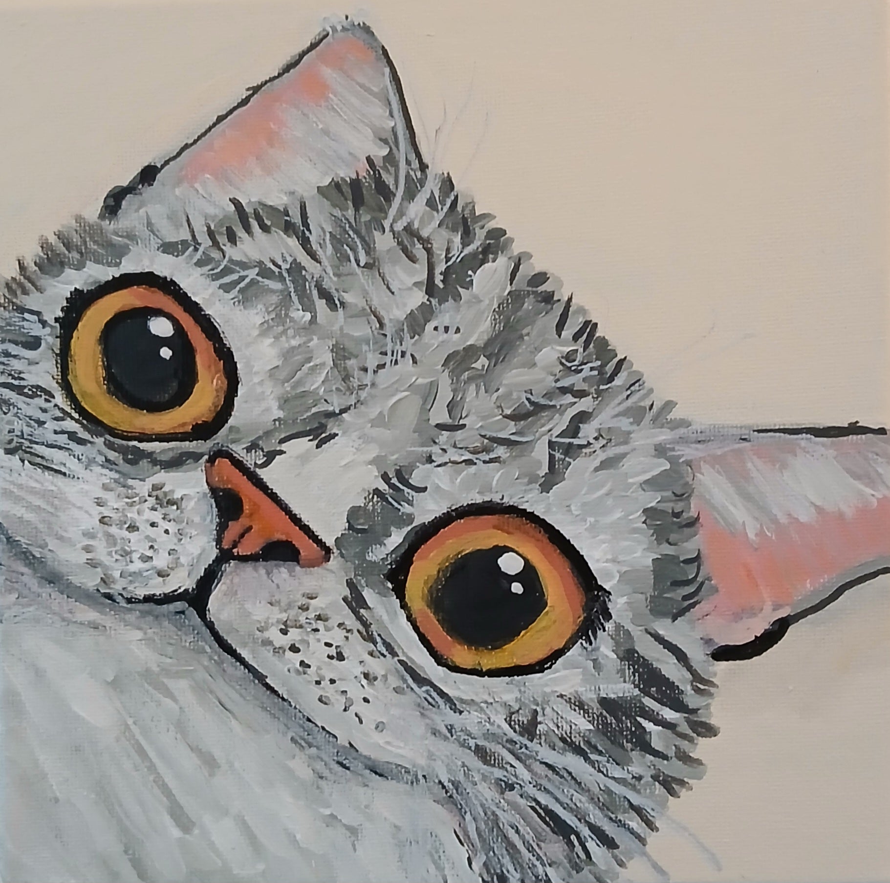 Carly the cat