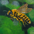 Buzzing bee