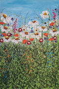 Wildflowers in Bloom