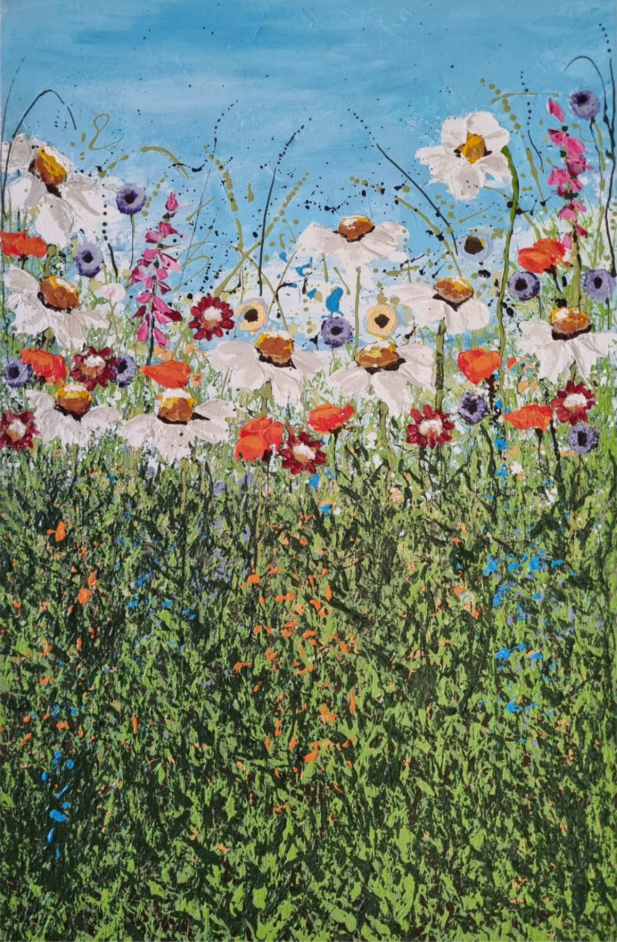 Wildflowers in Bloom