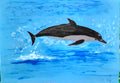 Dolphin jumping