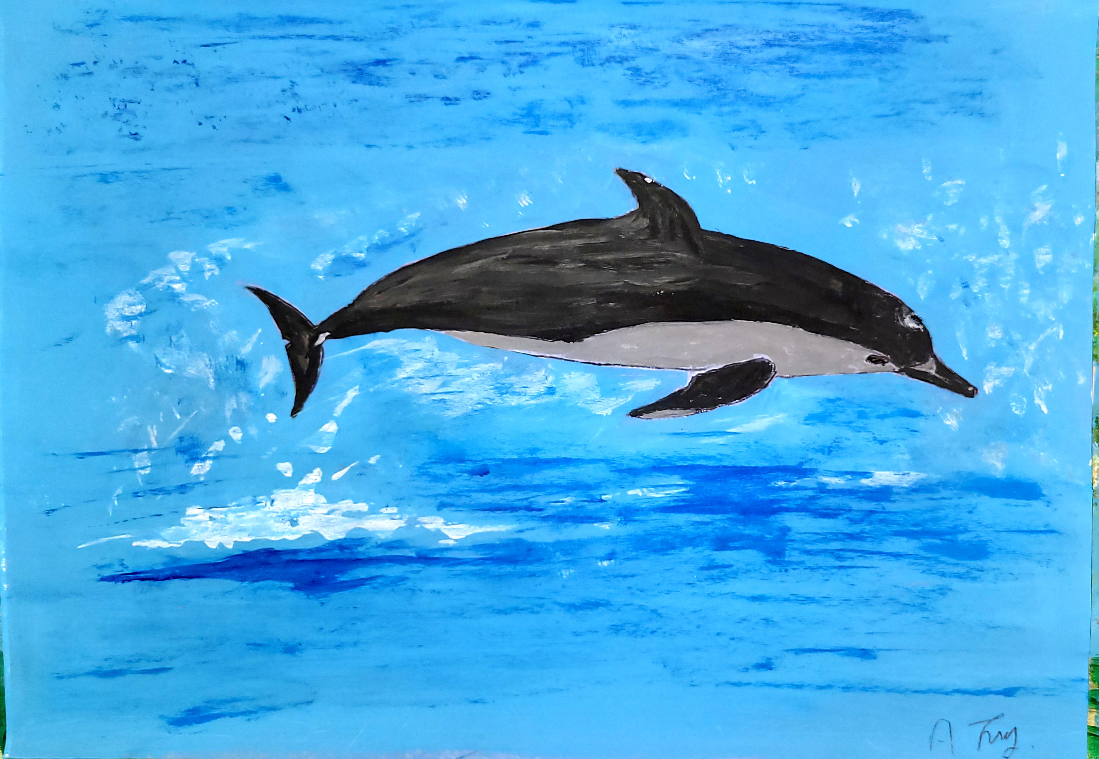 Dolphin jumping