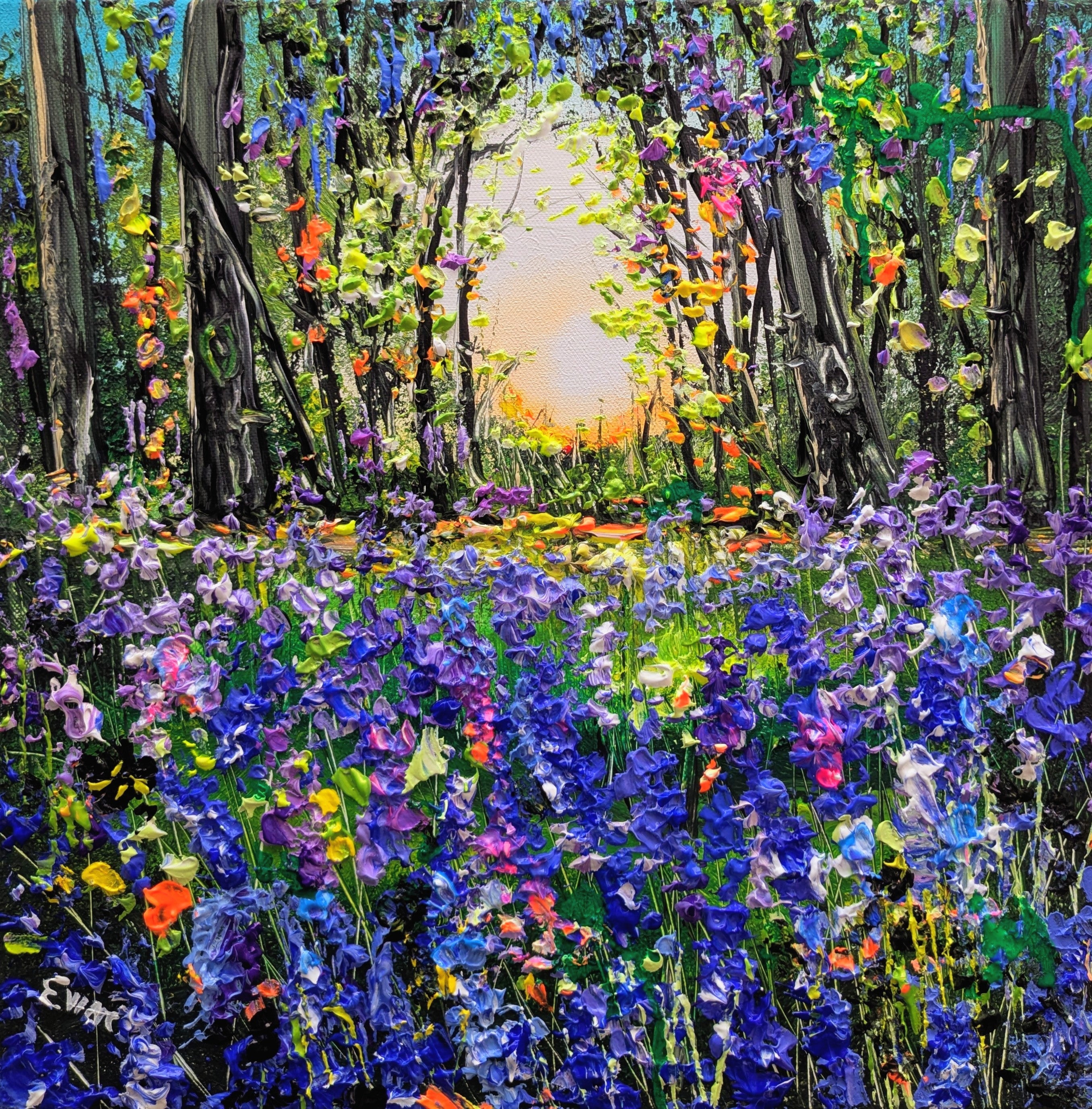 Bluebell Woods