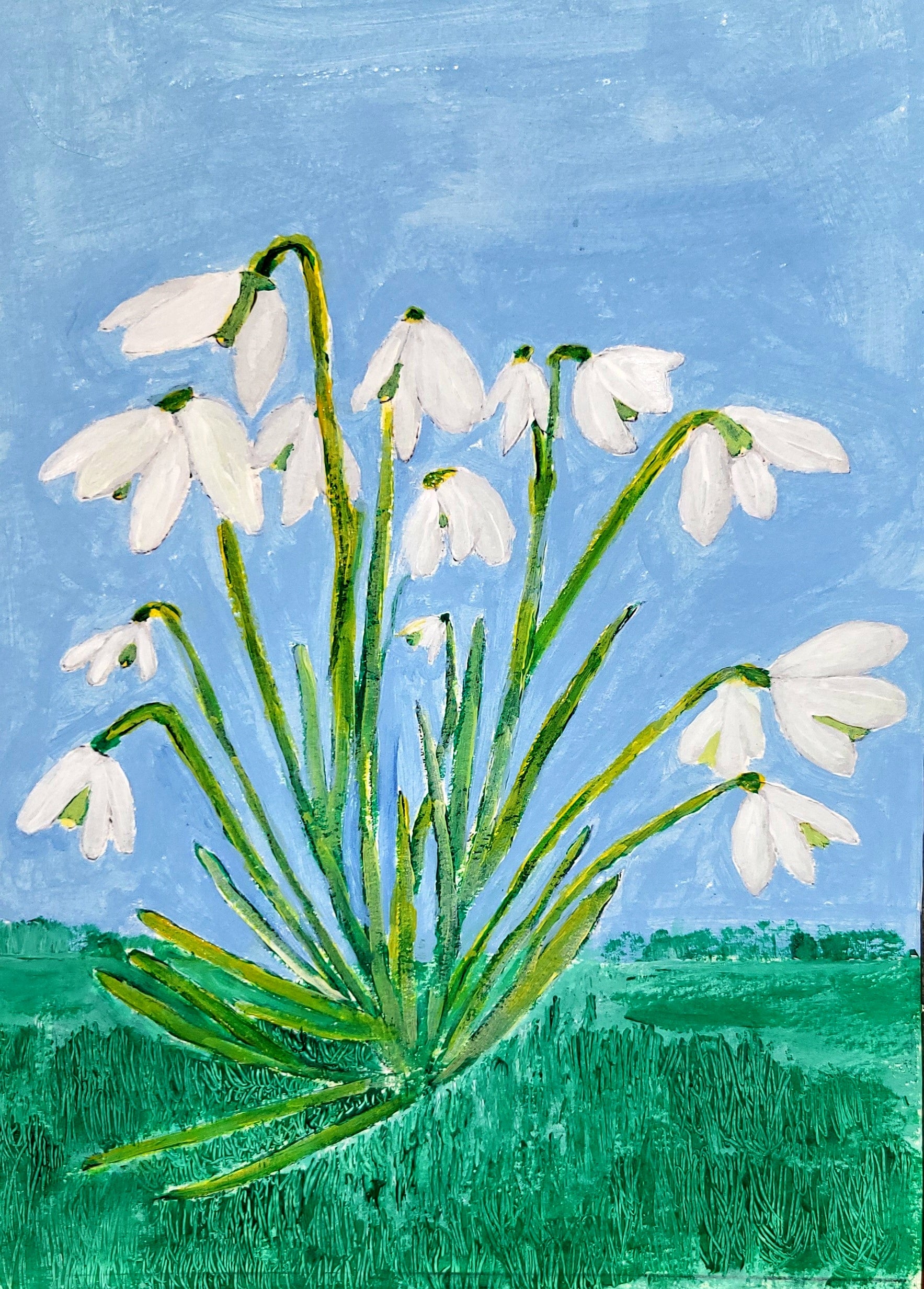 Snowdrops