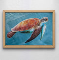 - The Sea Turtle