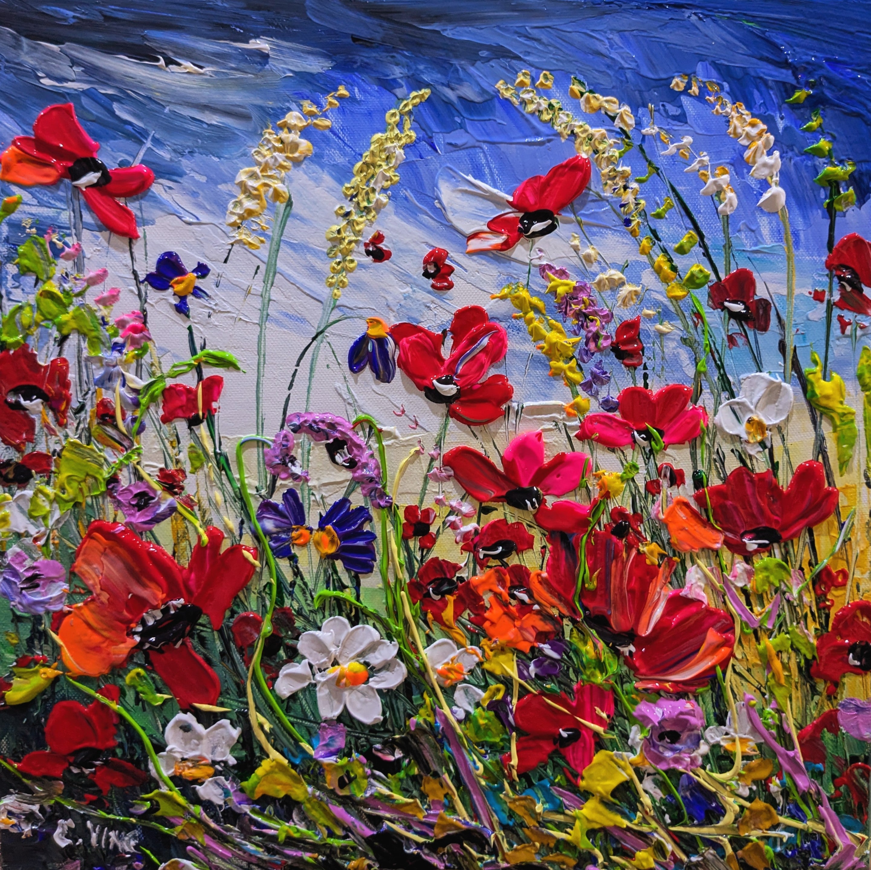 Colourful meadow