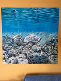 Maldivian Turtle.