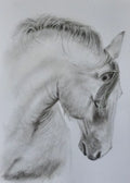 Majestic Horse