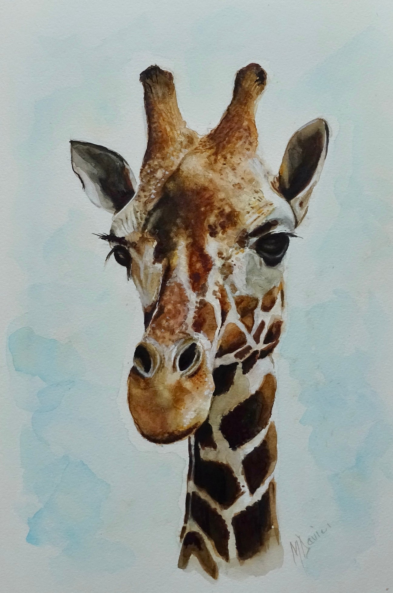 Giraffe
