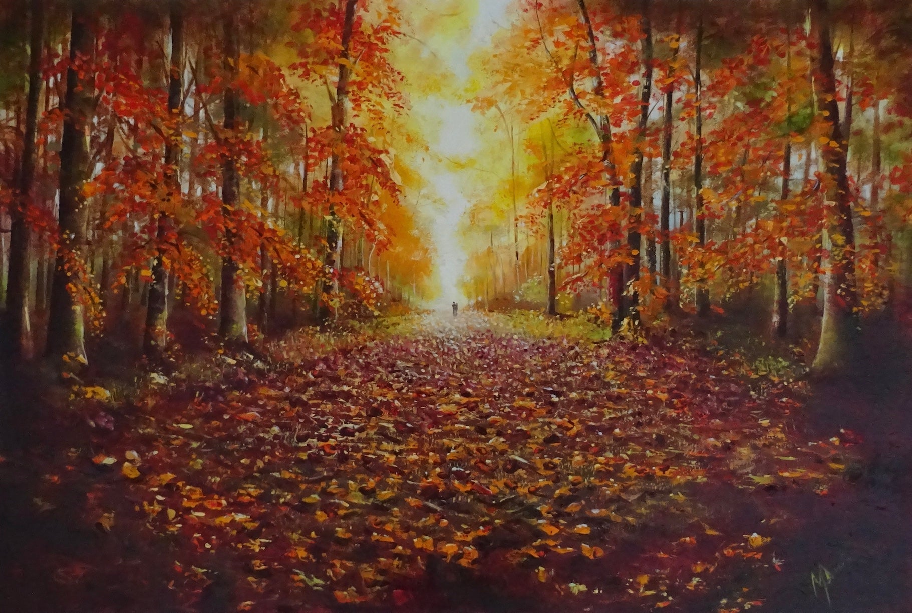 The Autumn Lights The way