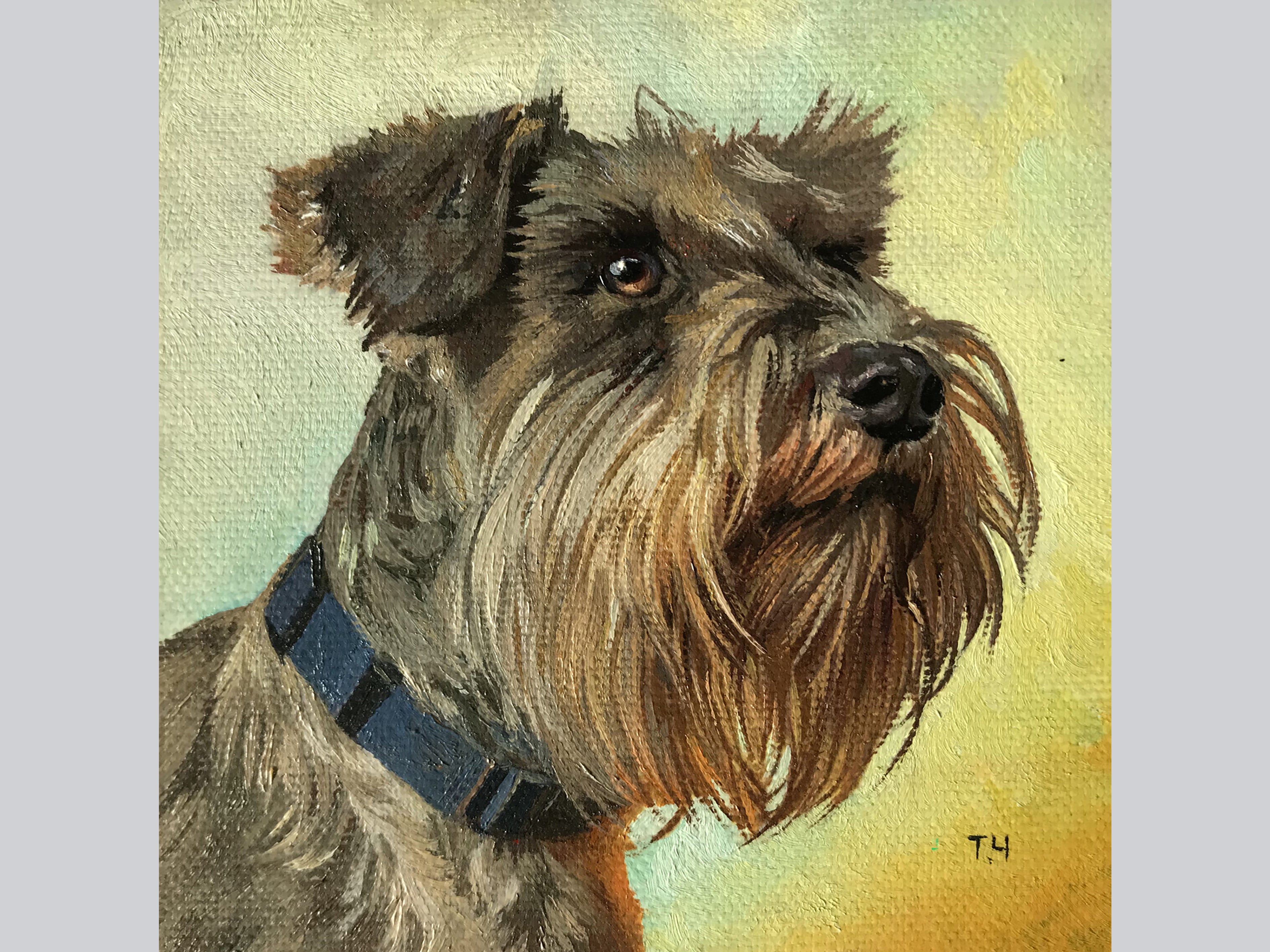 Miniature "Miniature Schnauzer"