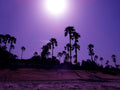 Evening in the Gambia