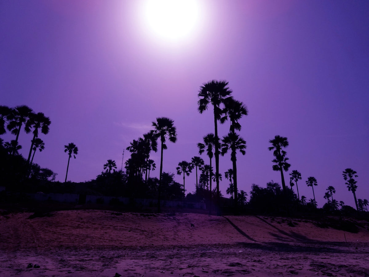 Evening in the Gambia
