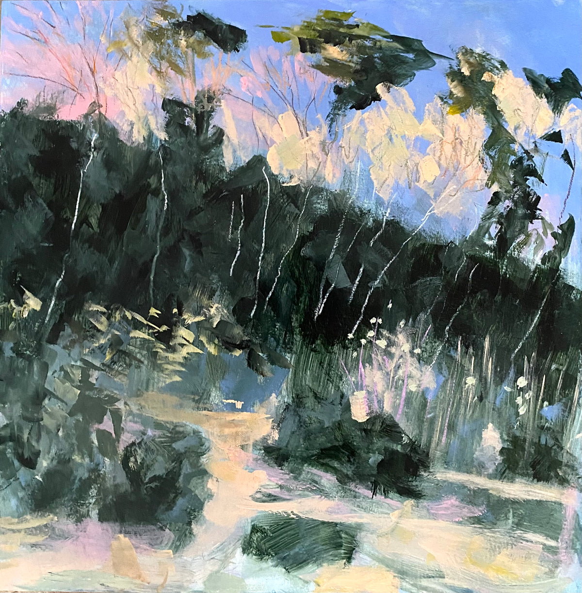 Bright Winter Light On Cliff Trees