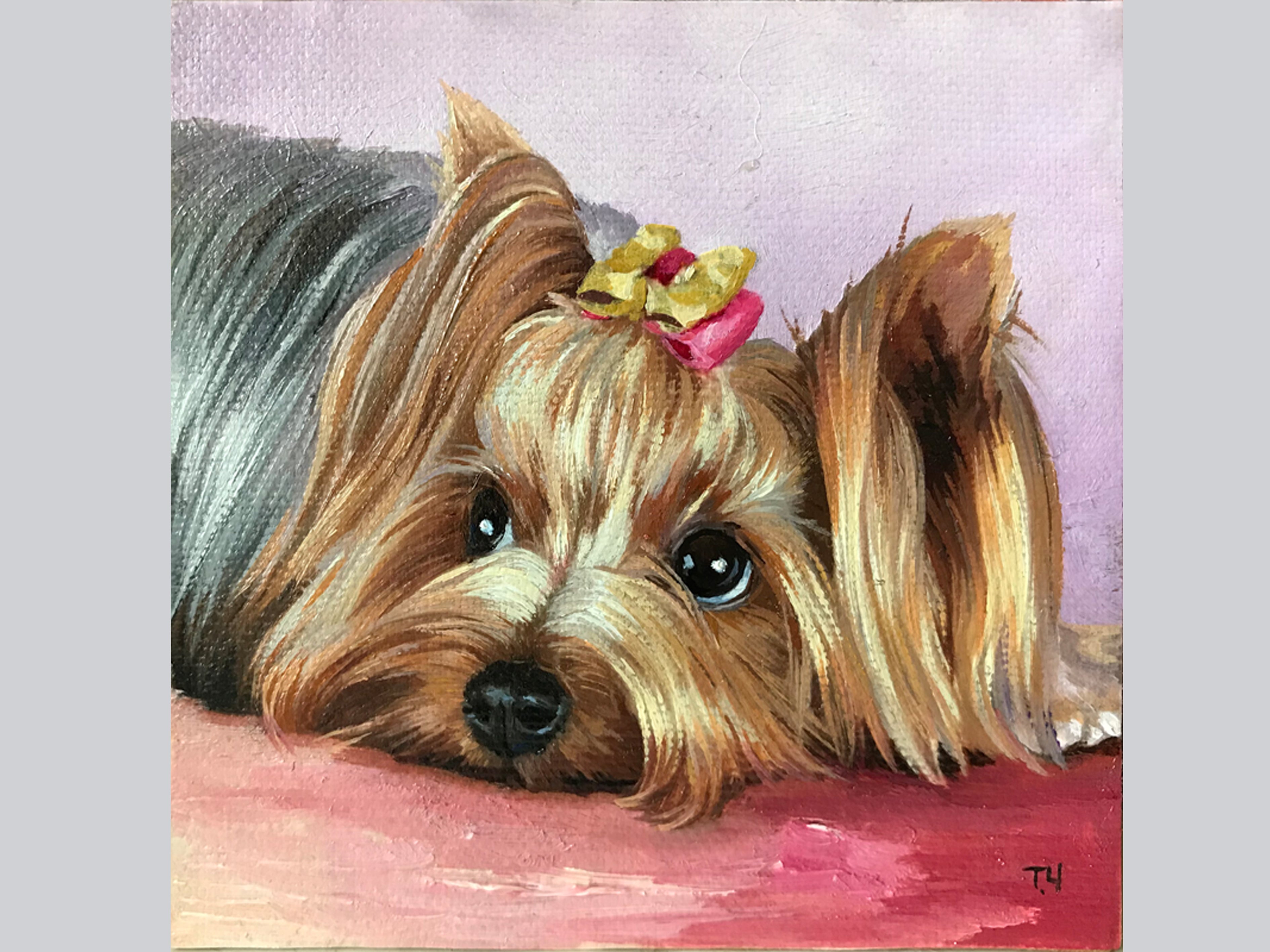 Yorkshire Terrier