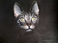 Original large Painting pussy cat pet kitten Feline Pastel ART SIGNED Deimante Bruzguliene